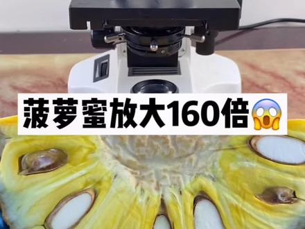 菠萝蜜的功效与作用有哪些 7a169e180d452d73fa635d52655f4ab5~tplv-dy-resize-origshort-autoq-75:330.jpeg?x-expires=2015294400&x-signature=x5t1xGpAjba3CTykfkx7%2FE9B%2BxQ%3D&from=3213915784&s=PackSourceEnum_AWEME_DETAIL&se=false&sc=cover&biz_tag=pcweb_cover&l=20231114120006A9607C18AA376105F766