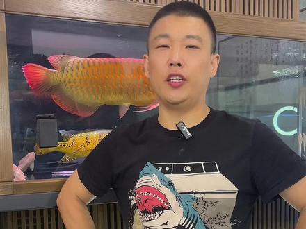 鱼缸根除蛋白虫的详细使用方法#蛋白虫 #鱼缸 #过滤系统 #鱼寄生虫