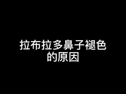 拉布拉多鼻子褪色的原因#馋不腻天然狗粮 #拉布拉多