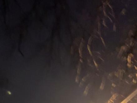 靠装疯卖傻逃避刑罚,门都没有!
#臧梵清 #王紫雅 #法律 #紫雅妈妈 #华西医院