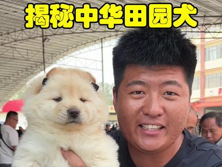 230白土松,胖嘟嘟真喜欢! 胖墩墩像只小熊!#vlog十亿流量扶持计划 #土松