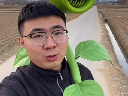 今天吃个豌豆#真实生活分享计划 #AI创作浪潮计划 #2025AI年终大赏 #AI