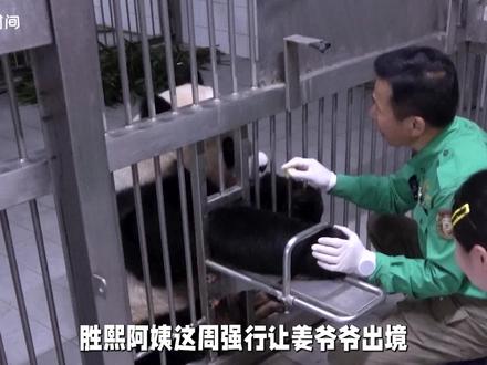 乐宝的治疗皮肤的视频公开