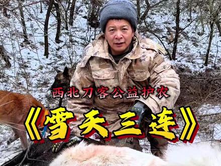 看西北刀客公益护农 雪天如何拿下三连,成功护农?#户外 #西北刀客 #星乡村星农人 #护农狩猎队