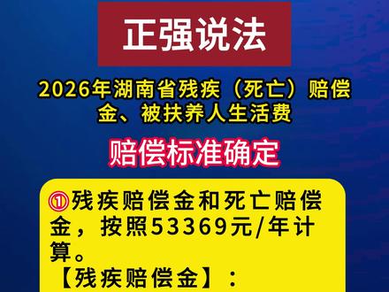 湖南省2026年度道路交通事故等人身损害赔偿最新标准出来啦! #法律咨询