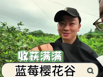 周末远离城市喧嚣,带上家人奔赴蓝莓樱花谷,亲手采摘清甜鲜果,慢享温馨惬意时光#蓝莓 #采摘 #周末好去处