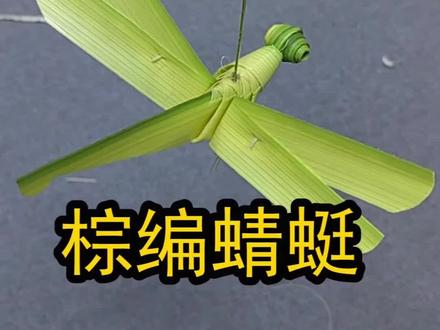棕编蜻蜓,象征平步青云,2026,你必须平步青云。#棕编教程 #手工 #非遗 #宝妈创业 #编织教程