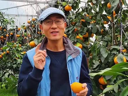 让你了解象山红美人为什么这么贵,听完你就知道了