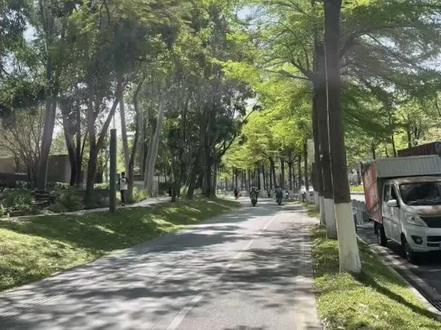 (紫占)海洋故事会,24小时很行多了个太阳 #海洋故事会