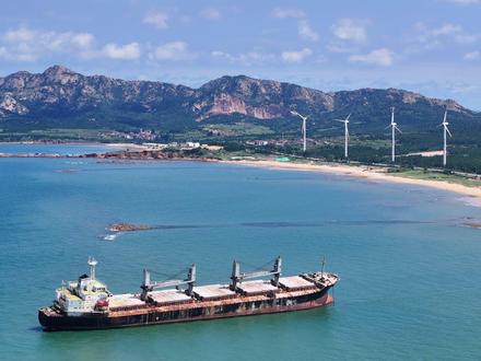 威海观赏天鹅攻略 冬天来威海旅游 千万别错过荣成的四处观赏天鹅地 各有千秋 还能满足喂海鸥 看日出 日落的需求 不能错过#威海旅游攻略 #荣成 #天鹅