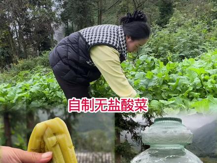自制萝卜叶无盐酸菜#记录真实生活 #我的农村老家