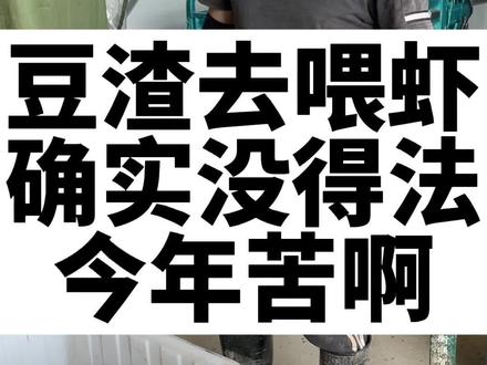 今年养殖不容易,自己搞点发酵料混着喂虾了,哎#敖云飞 #敖大虾 #小龙虾养殖 #发酵豆渣