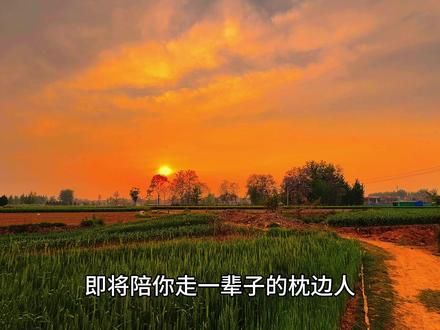 夫妻齐心协力经营好自己的小家,才是真正的千金不换,小家是指一家三口,大家是指含直系长辈和亲属,把小家的稳定和幸福放在第一顺位,没有小家你把再多的大家照顾好也没用,到最后连自己的日子都过不好,最简单的例子,自己的小家过得拘拘谨谨,亲戚有难还要逞强相助,想照顾所有人,却忽略了枕边人的感受和需求,要照顾大家的前提是,自己的小家先有保障,才有富余去想着暂时接济他人,不然也只是个没有原则,没有边界感的,好亲戚好子女就算再亲,也亲不过即将陪你走一辈子的枕边人。#情感共鸣 #人生感悟 #治愈系风景
