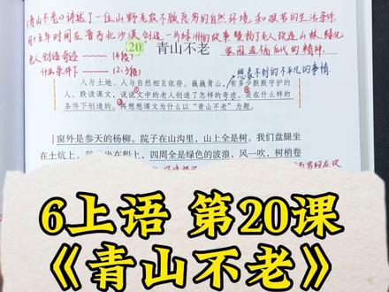六年级上册第20课《青山不老》 重点解析