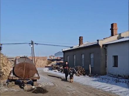 可乐:我不是怂,单纯就是饿了 #德牧#狗狗#萌宠#狗子成精了