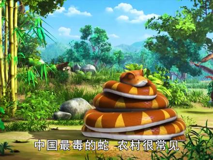 中国最毒的蛇,农村很常见,天生胆小温顺,为何偏偏攻击夜钓人?(一) #毒蛇 #银环蛇 #农村 #夜钓人