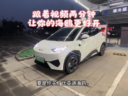 #拒绝废话#科普#冷知识#省流 #汽车技术冷科普 如果你入手了小海鸥,这几个功能不打开,用车体验可就大打折扣了