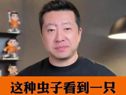你有没有在家里见到过这种小飞虫?大家注意,发现一只,你家里很可能有无数只。应急办法很简单,定期往地漏里倒半杯食盐加苏打粉的混合物,再用沸水慢慢冲下去,就能快速杀灭虫卵和幼虫。#这种虫子看到一只家里或有无数只 #抖音热评