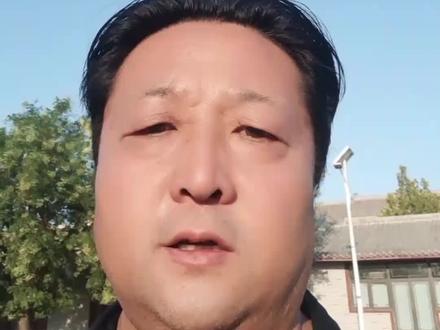 临晋县衙这几天特别热闹,没来的赶快来