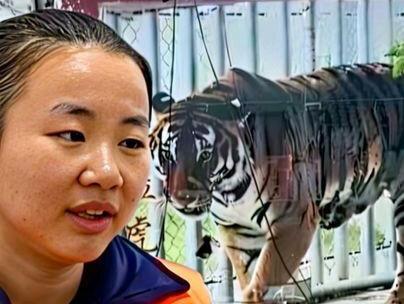 明珍珍的卧虎山庄真的有老虎,是福建老板出资建设的 #明珍珍 #卧虎山庄1020事件 #缅北不是天堂 #反诈骗宣传