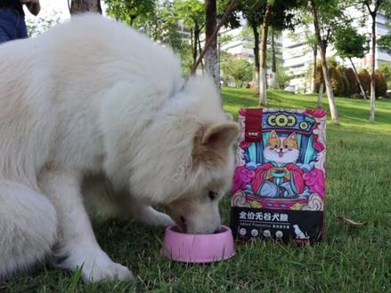 为什么狗狗大便前要转圈#狗狗 #狗狗拉粑粑