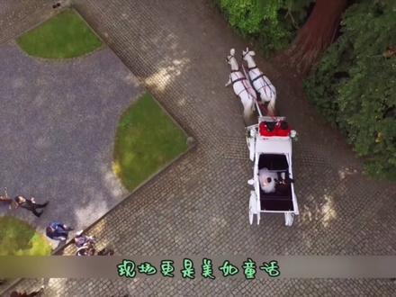 李小冉秘密婚礼!#李小冉 #明星 #婚礼 #爱情 #记录真实生活