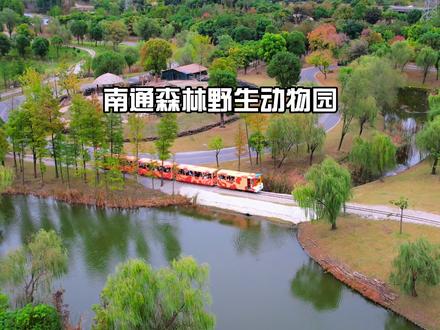 原来在南通真的可以住进现实版的疯狂动物城!#江浙沪周边游 #亲子游玩好去处 #遛娃好去处 #森迪部落酒店 #南通森林野生动物园