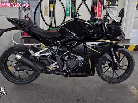 沙夏测试:凯越刺鸟250RR,油耗2.95l,减震调教优秀,ABS不够细腻 #沙夏测试 #凯越刺鸟250rr #油耗