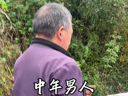 中年男人乡下收猪日常#收猪日常#养猪人#毕节#猪贩子老汪