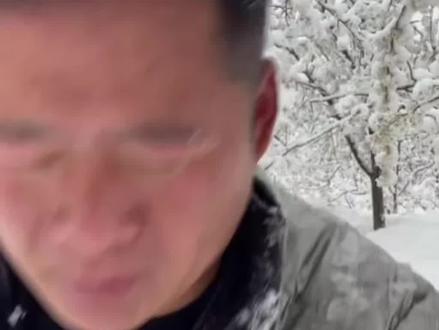 河南三月出现罕见大学,梨树开花不能瓜果果农欲哭无泪#河南大雪 #果农 @DOU+小助手