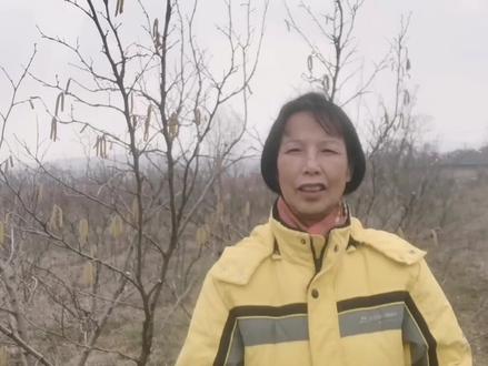 我家的榛子树开花了,比大米粒还小难得一见,涨姿势!