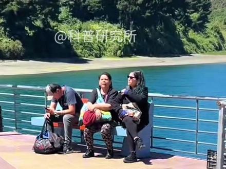 为何海狮对人类这么客气有礼貌?#动物科普 #神奇动物