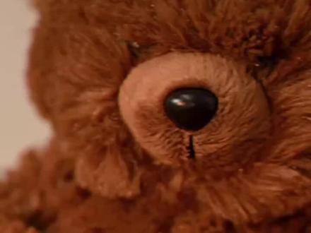 在日光下,生长成自己的样子 #泡泡玛特#Zsiga #Zsiga在日光下系列 #盲盒