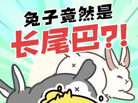 啊?兔兔的尾巴居然这么长!#冷知识 #叫叫阅读 #轻漫计划 #兔子尾巴 #科普动画