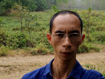 农村野生枸杞长什么样?有哪些好处与用处,带大家认识与了解下