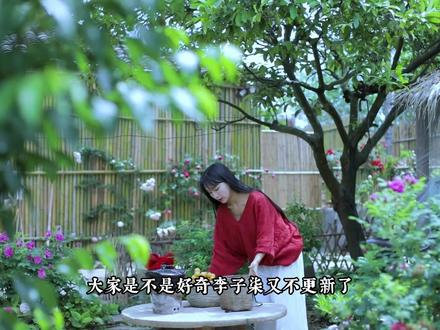 李子柒回应停更 #李子柒 #停更 #路透