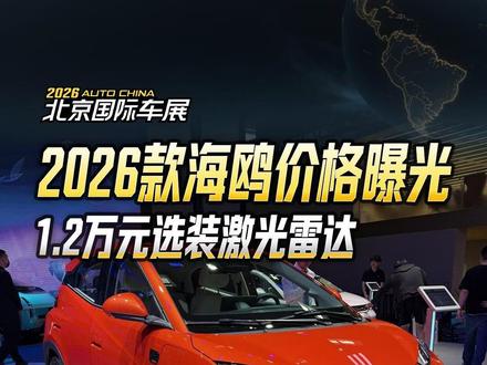 2026款海鸥价格曝光,1.2万元选装激光雷达#沉浸式逛展 #2026北京国际车展 #比亚迪海鸥 #懂车帝晓丹