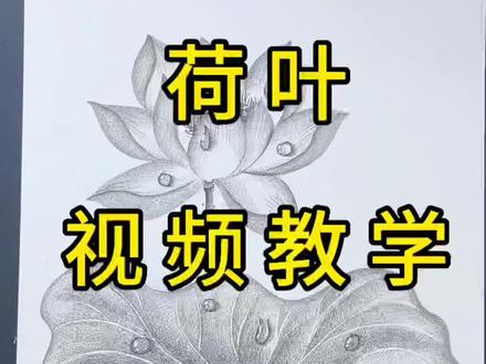 一分钟教会你画荷叶#炭笔画 #每天跟我涨知识 #画 #零基础学画画 #绘画教程
