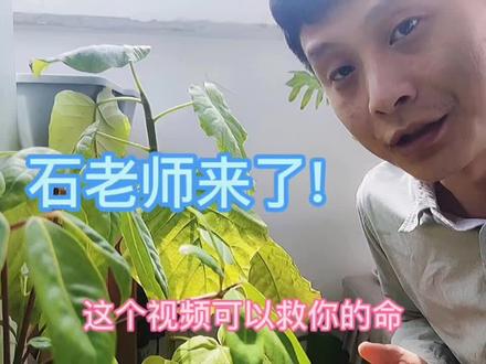 315我来打假劣质多菌灵,建议各位朋友们转发给家人,不要低估它的致癌性。#三农 #绿色生态农业 #农业 #绿植 #养花