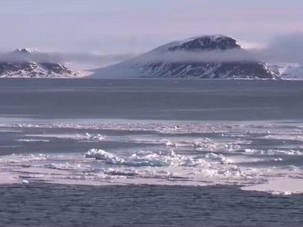 冰层下的鱼为什么不会被冻僵?#抖出新知识 #我是头条小百科 ##冷知识 #趣闻 #海洋世界少儿英语百科