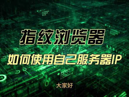 指纹浏览器,如何使用自己服务器IP #指纹浏览器