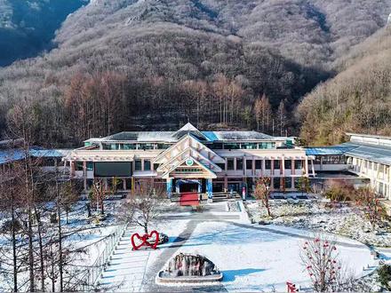 出行交通攻略,出行更省心!#神农架中和国际滑雪场 #神农架 #滑雪