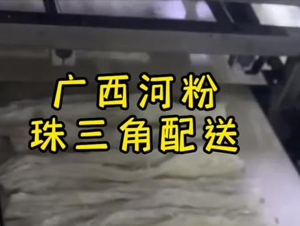 #源头实力厂家 #工厂实拍视频 广西切粉,也叫湿粉、扁粉。大米制作,不是广东河粉#南宁老友粉 #河粉