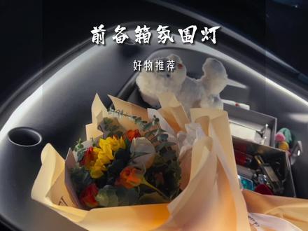 特斯拉前备箱阻燃氛围灯,情人节必备~#特斯拉 #model3 #modely #特斯拉好物推荐