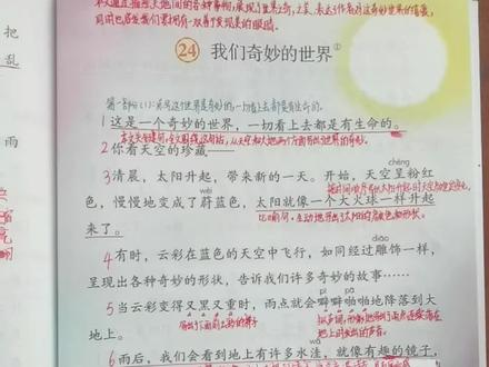 三年级语文下册《我们奇妙的世界》视频讲解完整版。成人课堂。#小学语文#预习#教师资格证面试#教师#语文课本