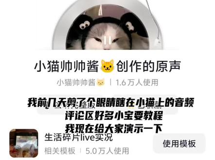 回复 @松鼠和松子的评论 有求必应 如有侵权 联系秒删🙏🏻@农村小哥(收徒) #眼睛瞎在手机上 #二创激励计划 #教程