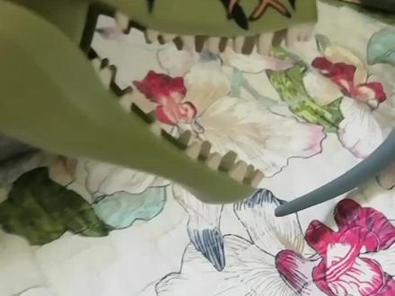 评测乐高恐龙#此龙为正版