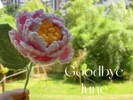 牡丹花组装教程 #钩针教程 #我的手工作品 #毛线编织 #牡丹花