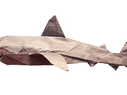 超复杂系折纸作品-大白鲨折纸教程(第七部分) #手工diy #手工 #手工教程