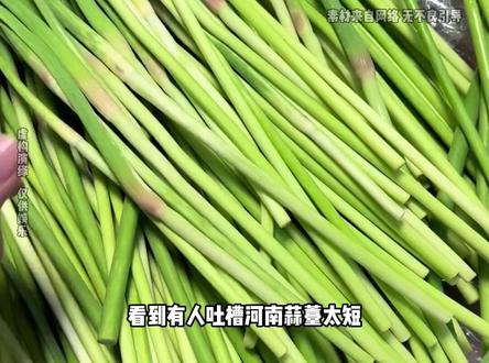 明明是赔钱送网友蒜薹,结果却遭到了全网网暴 #蒜薹 #河南 #河南蒜薹 #网购